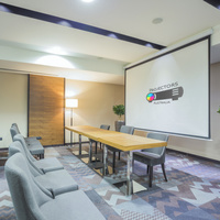 Motorized Projector Screen